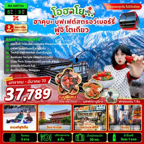 โอฮาโย ฮาคุบะ บุฟเฟ่ต์สตรอว์เบอร์รี่ ฟูจิ โตเกียว 5 วัน 3 คืน