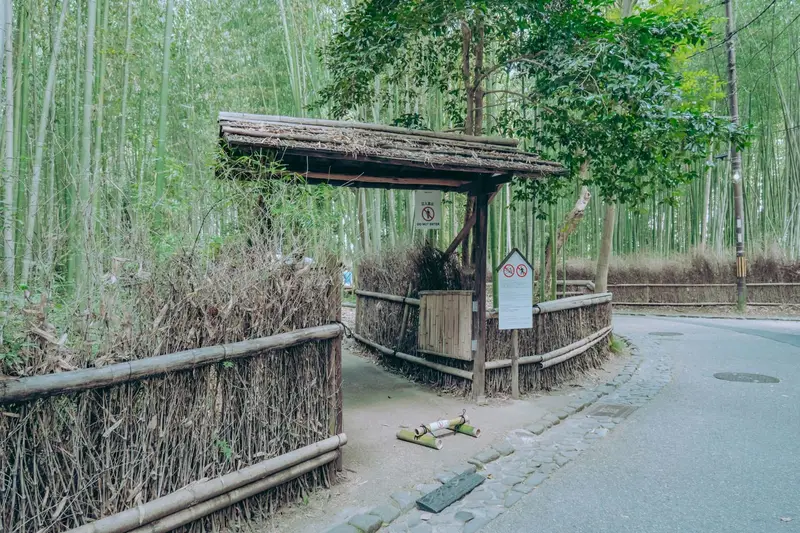 ทัวร์อาราชิยาม่าไฟไหม้ ราคาลดกระหน่ำ