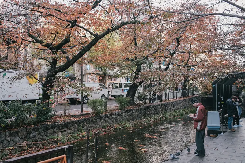 ทัวร์ทานุกิโคจิไฟไหม้ ราคาลดกระหน่ำ