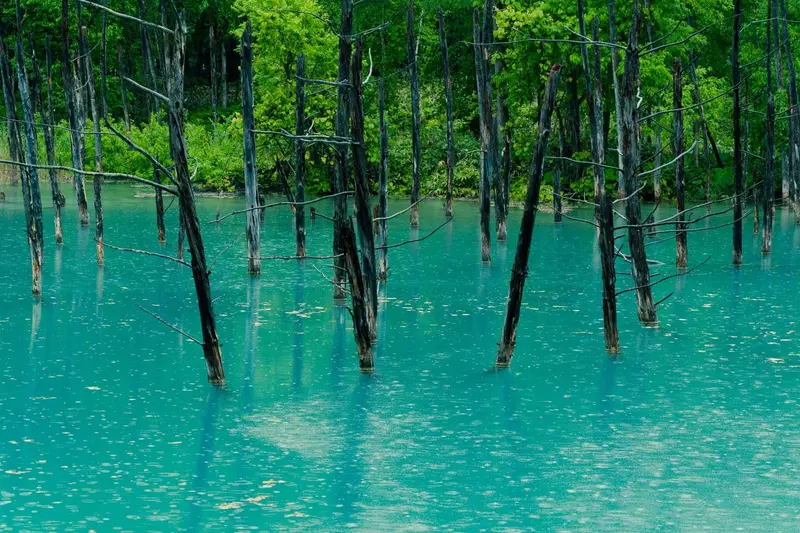 ทัวร์บิเอะไฟไหม้ ราคาลดกระหน่ำ